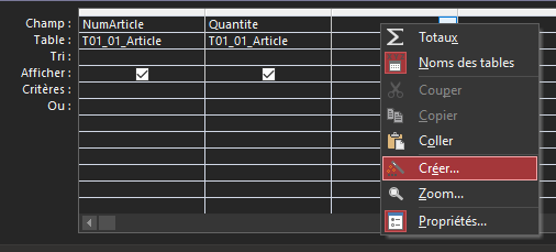 fonction personnalisé microsoft access